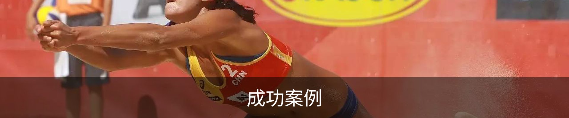 成功案例